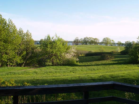 View from the observation deck (photo by Webmaster)
