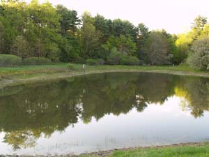 Pond (photo by Webmaster)
