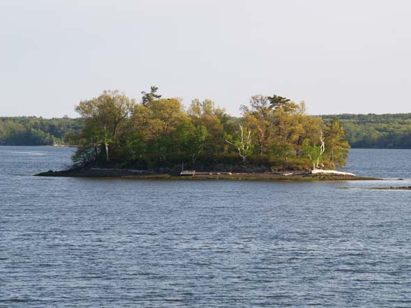 An island off the shore of Adams Point (photo by Webmaster)
