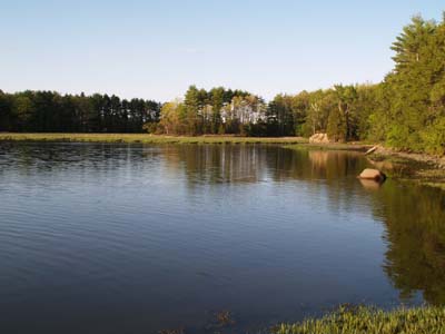 Cove that's marshy around the edges (photo by Webmaster)