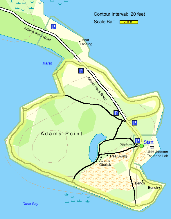 Trail map of hike route at Adams Point Wildlife Management Area (map by Webmaster)