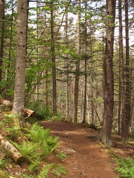 Around-the-Lake Trail (photo by Webmaster)