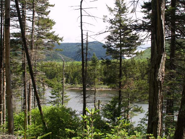 Ammonoosuc Lake and mountains (photo by Webmaster)