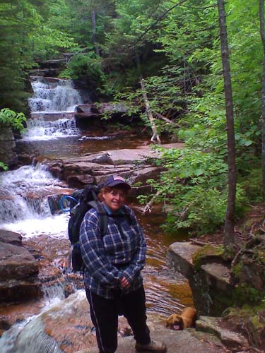 Bemis Brook (photo by Bill Mahony)