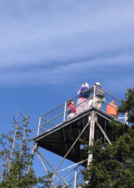 SDH on the observation tower (photo by Dennis Marchand)