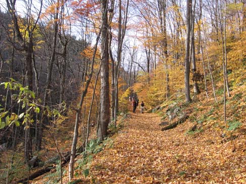 Windsor Trail (photo by Dennis Marchand)