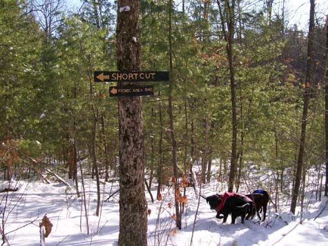 Junction at Shortcut Trail (photo by Deb Hann)