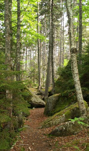 Valley Trail (photo by Webmaster)