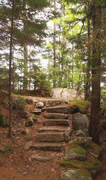 Beech Mountain South Ridge Trail (photo by Webmaster)