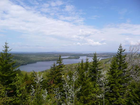 Long Pond and beyond, from Beech Mountain Trail (photo by Chip Lary)