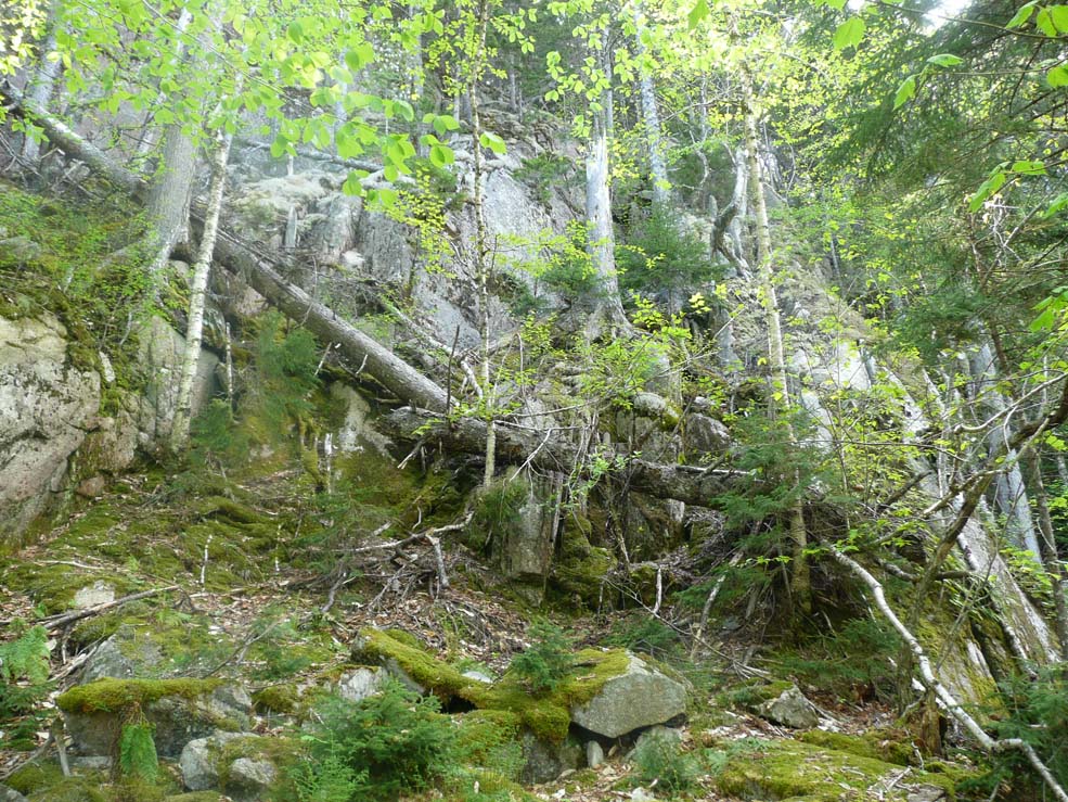 The cliffs of the east side of Beech Mountain as seen from Valley Trail (photo by Chip Lary)