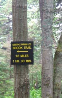 Trail junction Brook Trail and Saddle Trail (photo by Charlie Raeburn)
