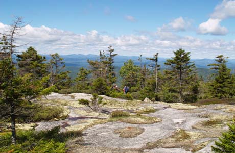 Lichen "islands" on western ledges of Blueberry Mtn. (photo by Webmaster)
