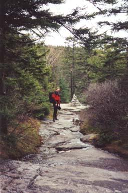 The trail (photo by Webmaster)