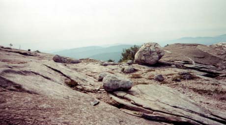 Mt. Cardigan - near the summit (photo by webmaster)