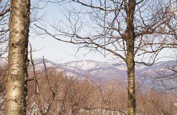 View to the west from the trail (photo by Webmaster)