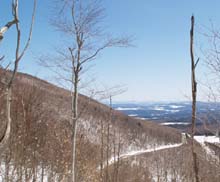View to the east from the trail (photo by Webmaster)