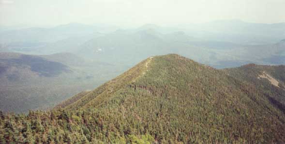 Signal Ridge seen from the fire tower on Mt. Carrigain (photo by Webmaster)