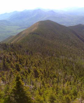 View of Signal Ridge and beyond (photo by Bill Mahony)