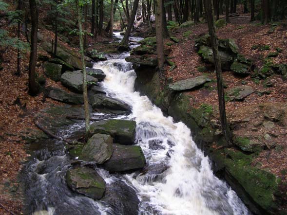 Wilde Brook running through Chesterfield Gorge (photo by Jeff Littlejohn)