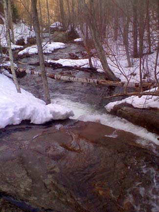 Champney Brook (photo by Bill Mahony)