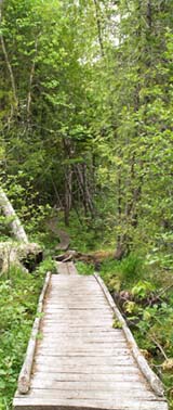 Boardwalk near the start of the hike (photo by Webmaster)