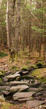 Stone walkway across a brook (photo by Webmaster)