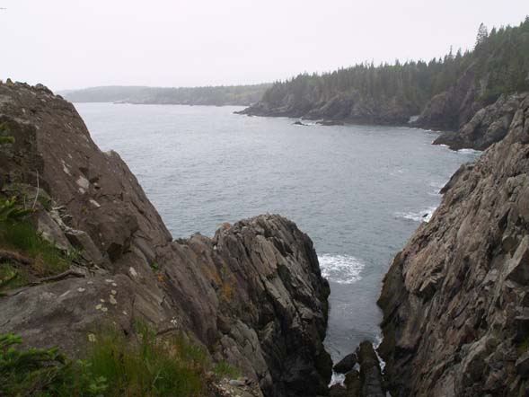 Cliffs and ocean along Coastal Trail (photo by Webmaster)