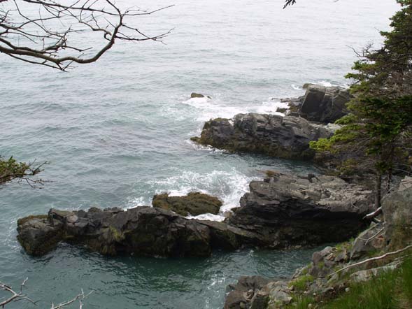 The Bold Coast (photo by Webmaster)