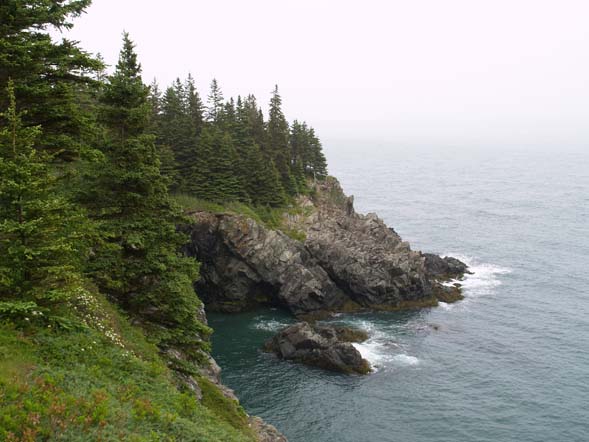 The Bold Coast (photo by Webmaster)