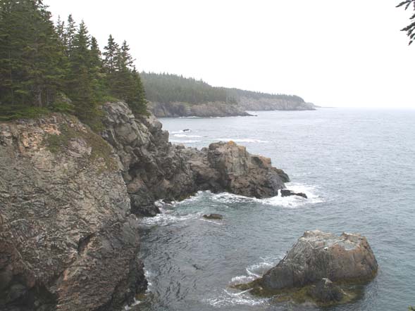 The Bold Coast at Cutler Coast Preserve (photo by Webmaster)