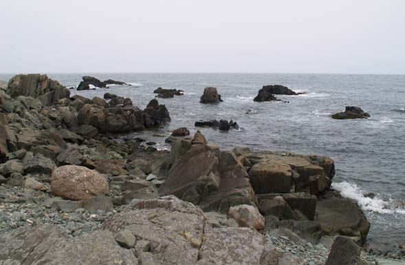 The Bold Coast at Cutler Preserve (photo by Webmaster)