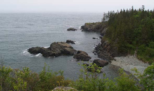 The Bold Coast, cobble beach, and ladder at Cutler Coast Preserve (photo by Webmaster)