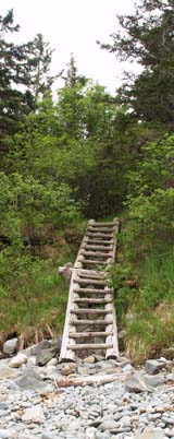 Ladder leading up from cobble beach back to Coastal Trail (photo by Webmaster)