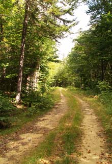 Slippery Brook Trail (photo by Webmaster)