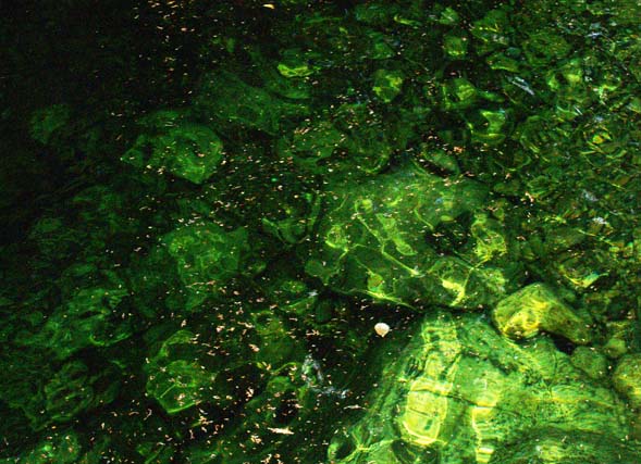 The green waters of Emerald Pool (photo by Webmaster)