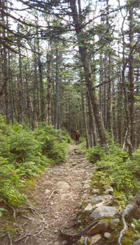 Edmands Path (photo by Webmaster)