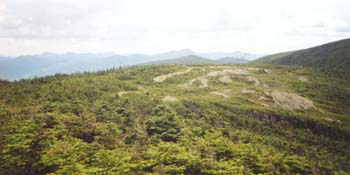 Crawford Ridge (photo by Webmaster)