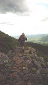 Edmands Path (photo by Webmaster)