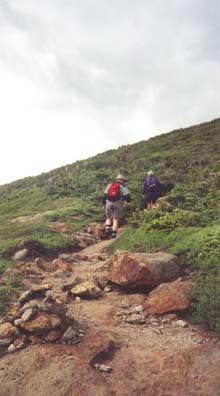 Crawford Path between Mt. Pierce and Mt. Eisenhower (photo by Webmaster)