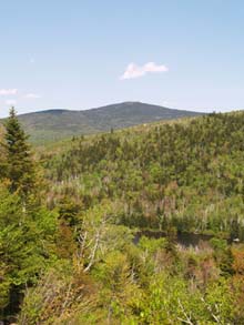 View from Whitewall Brook Outlook (photo by Webmaster)