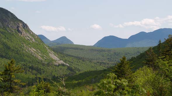 View from the Whitewall Brook Outlook (photo by Webmaster)