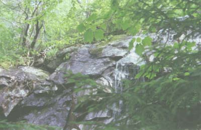 Cascade (photo by Sal Silvestre)