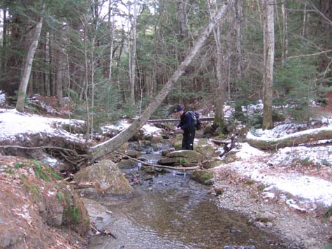 Brook (photo by Dennis Marchand)