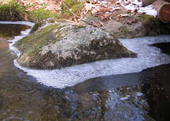 Ice forming (photo by Mark Malnati)