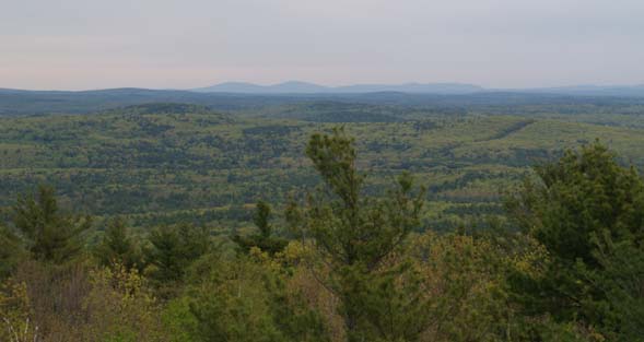 Views from Mount Grace's fire tower (photo by Webmaster)