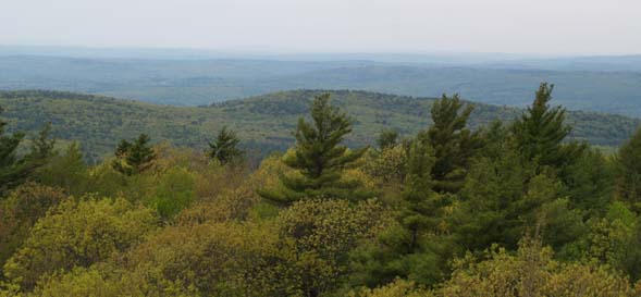 Views from Mount Grace's fire tower (photo by Webmaster)