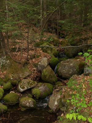 Rocky stream on Round-the-Mountain Trail (photo by Webmaster)