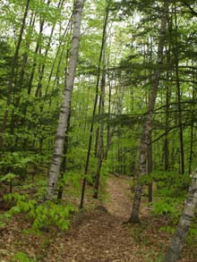 Round-the-Mountain Trail (photo by Webmaster)