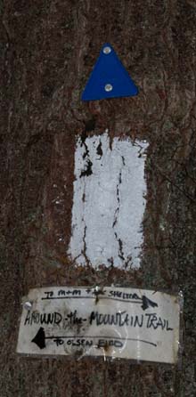 Trail markers (photo by Webmaster)